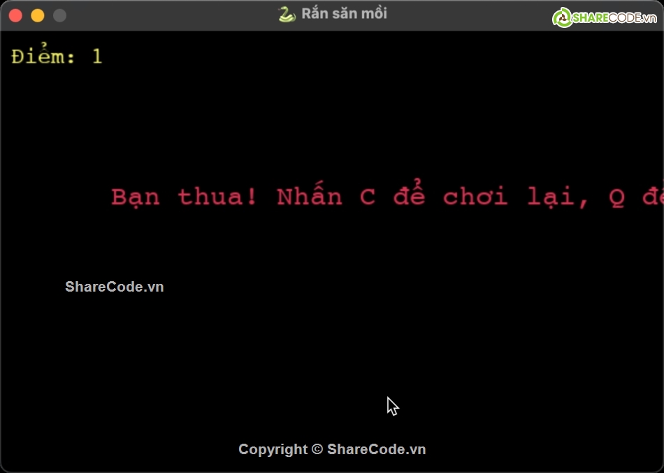 game,Game Modern Snake,source code,game python